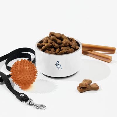 Pelican Landing Pet bowl